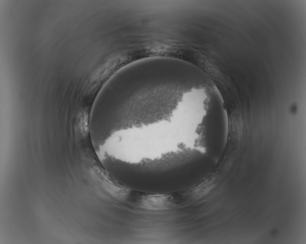 X0000115660479200912031337