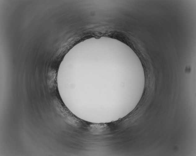 X0000115660480200912031337