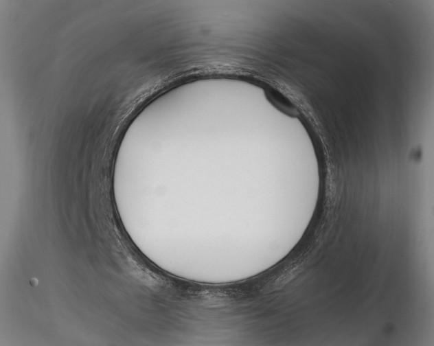 X0000115660481200912031336