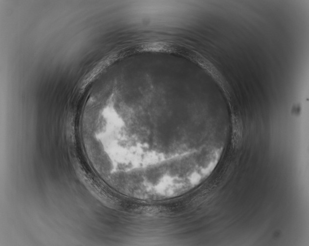 X0000115660482200912031336