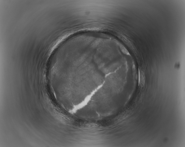 X0000115660483200912031336