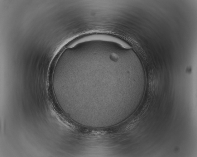 X0000115660484200912031336