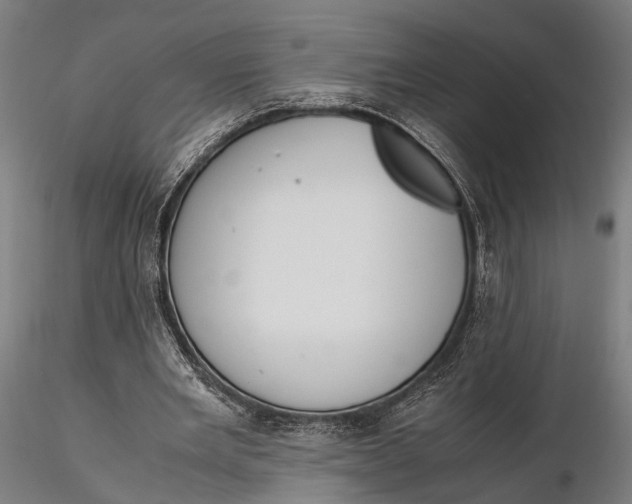 X0000115660485200912031336