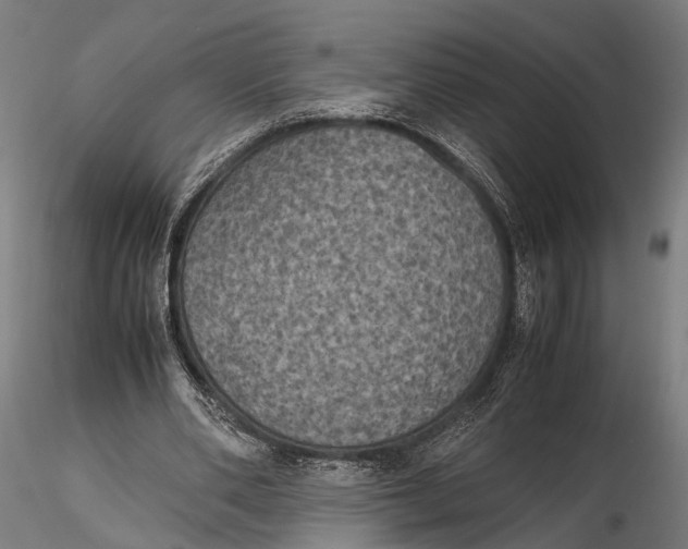 X0000115660486200912031336