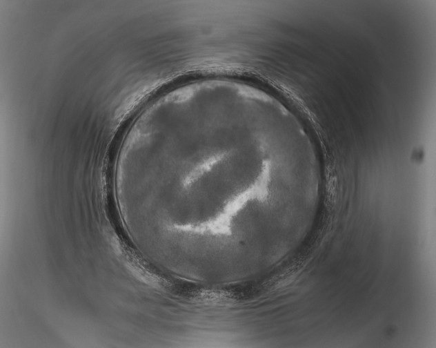 X0000115660487200912031336