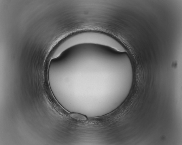 X0000115660488200912031336