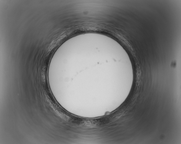 X0000115660489200912031336