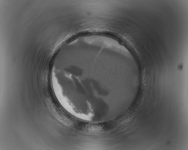 X0000115660491200912031336