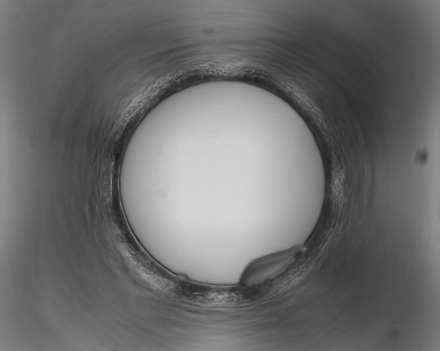 X0000115660493200912031336