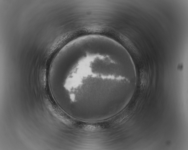 X0000115660494200912031336