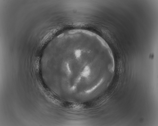 X0000115660495200912031336