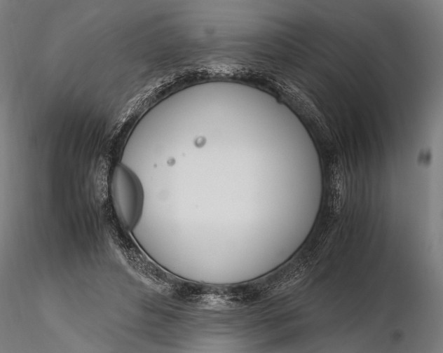 X0000115660496200912031336