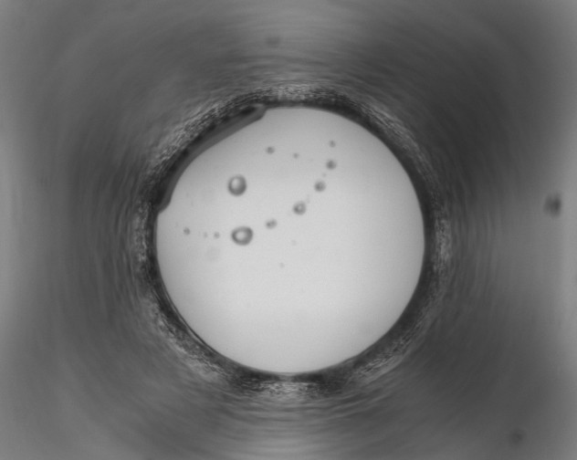 X0000115660497200912031336