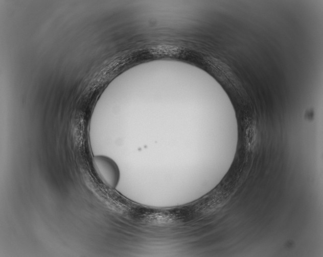 X0000115660498200912031336