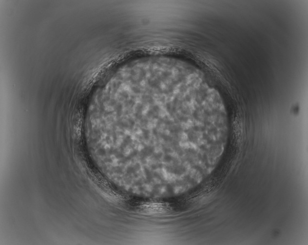 X0000115660499200912031336