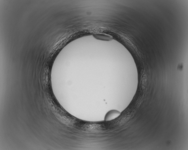 X0000115660501200912031336