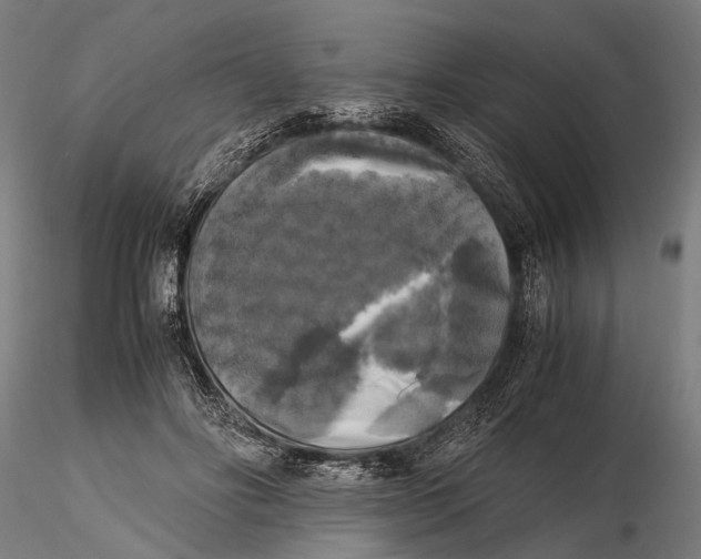 X0000115660502200912031336