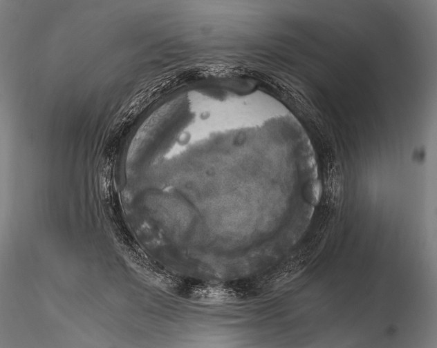 X0000115660503200912031336