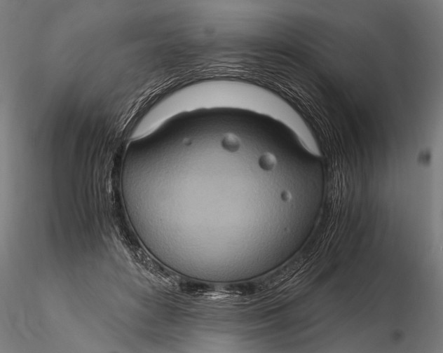 X0000115660504200912031336