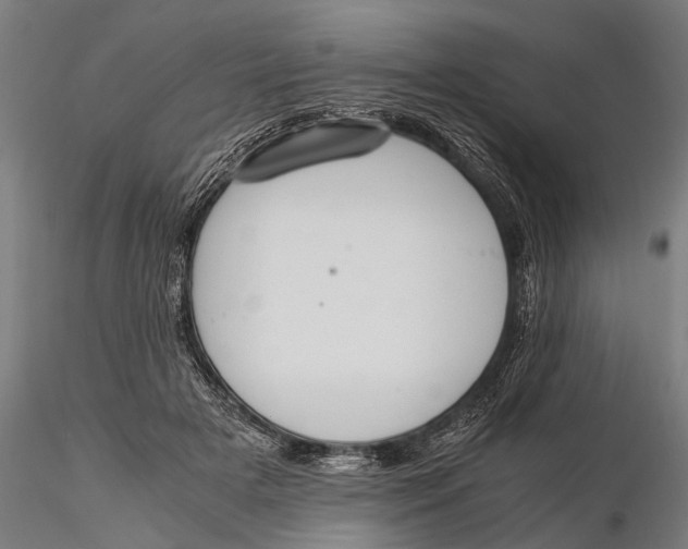 X0000115660505200912031336