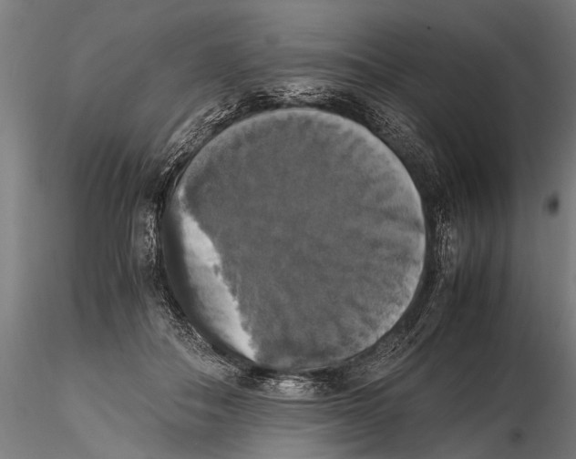 X0000115660506200912031335