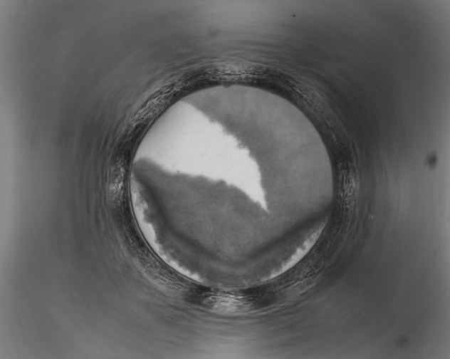 X0000115660507200912031335