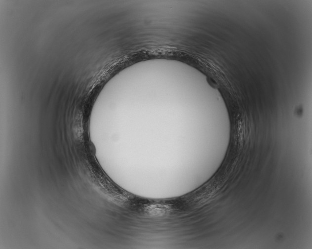 X0000115660508200912031335