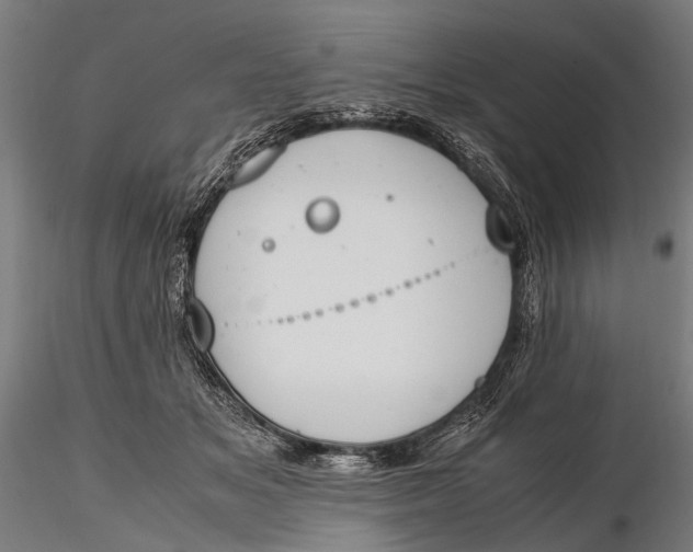 X0000115660509200912031335