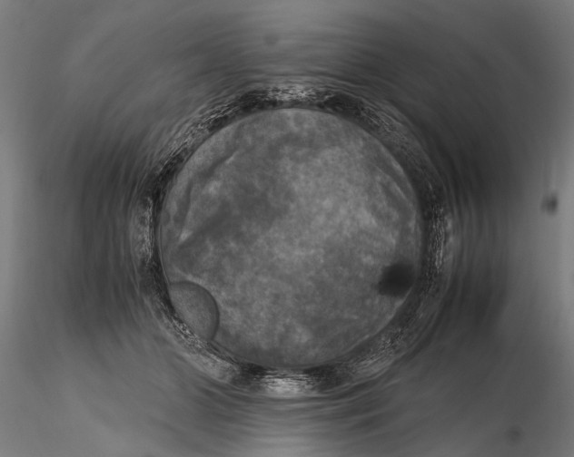 X0000115660510200912031335