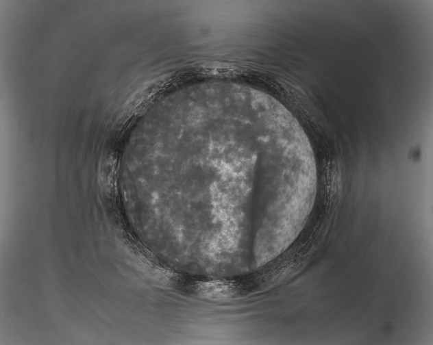 X0000115660511200912031335