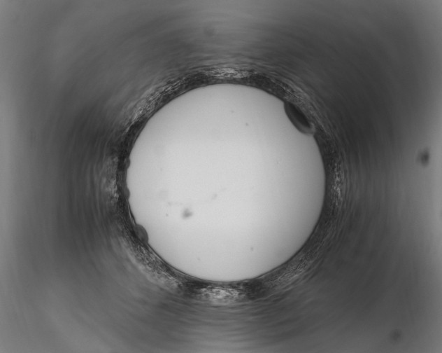 X0000115660512200912031335