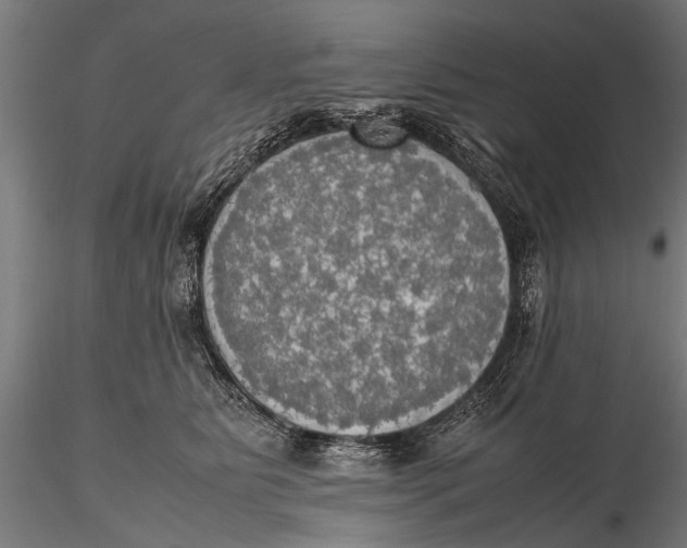 X0000115660515200912031335