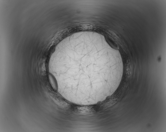 X0000115660516200912031335