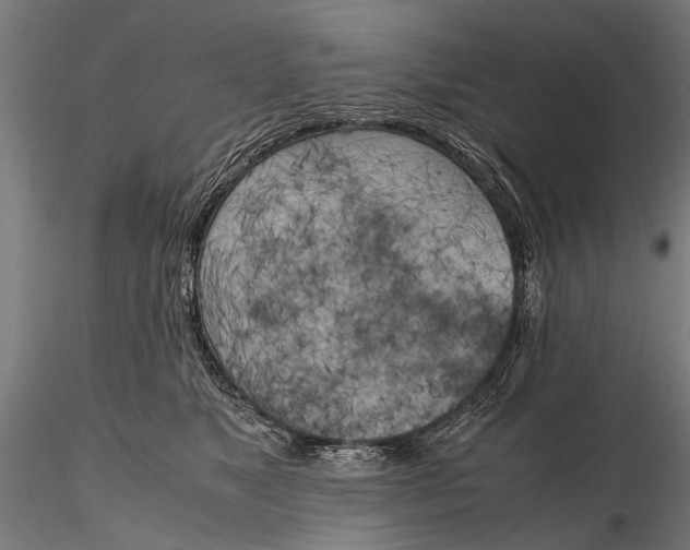 X0000115660517200912031335