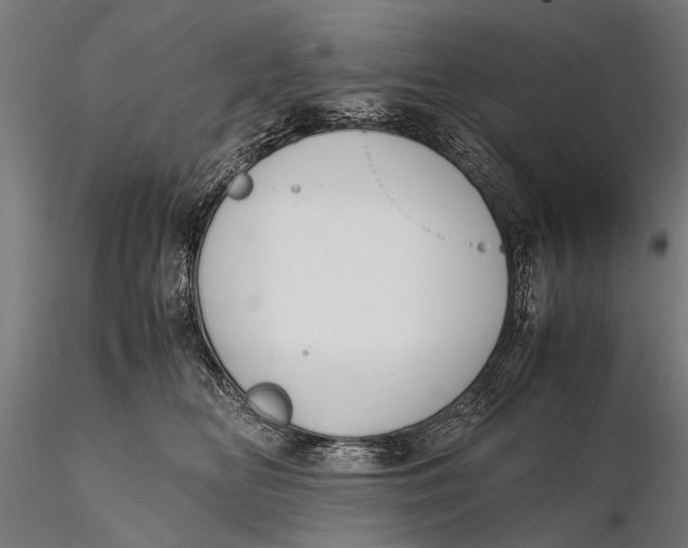 X0000115660518200912031335