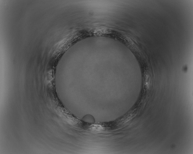 X0000115660519200912031335