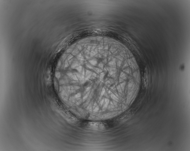 X0000115660520200912031335