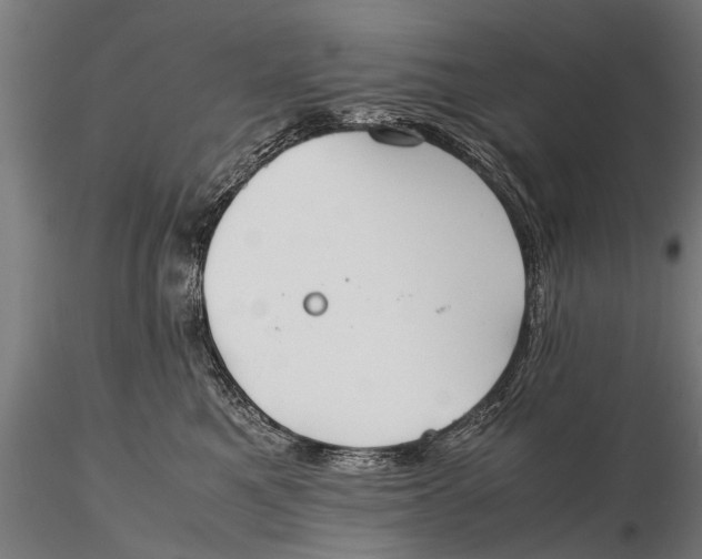 X0000115660521200912031335