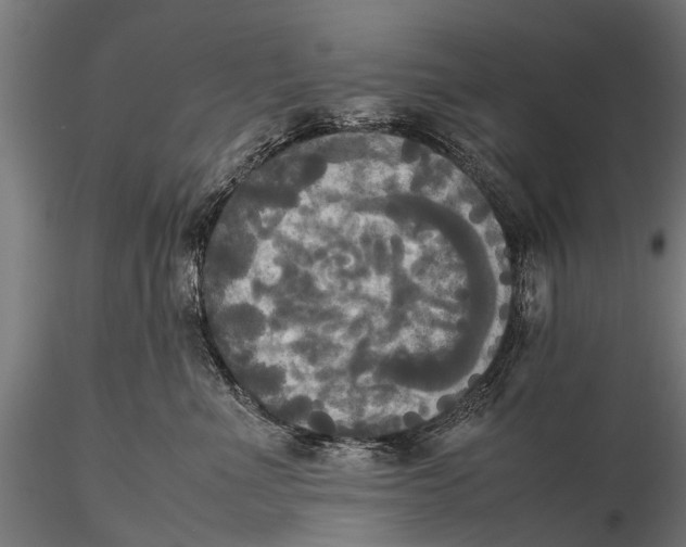 X0000115660523200912031335