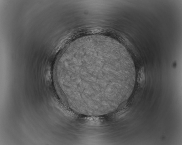 X0000115660524200912031335