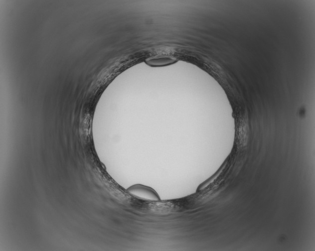 X0000115660525200912031335