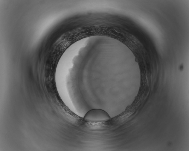 X0000115660526200912031335