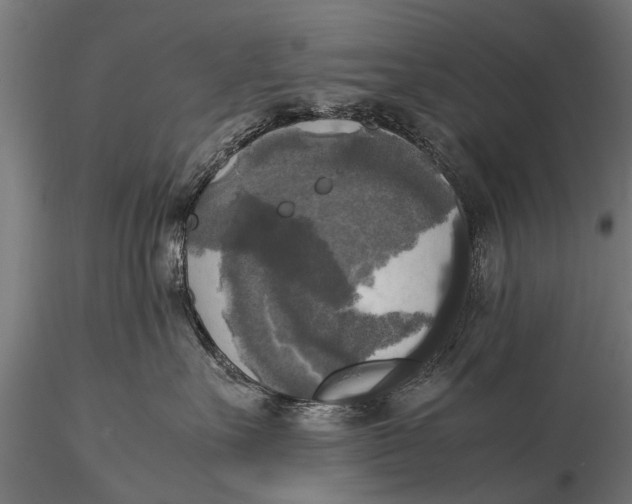 X0000115660527200912031335