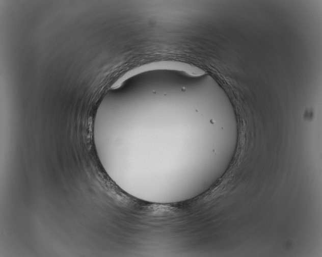 X0000115660528200912031335