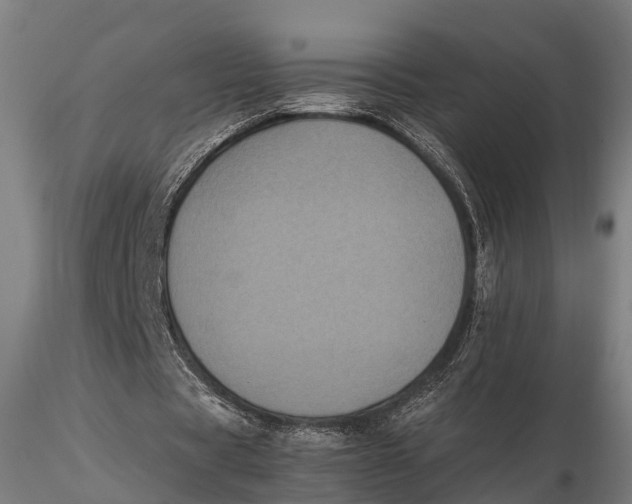 X0000115660529200912031335