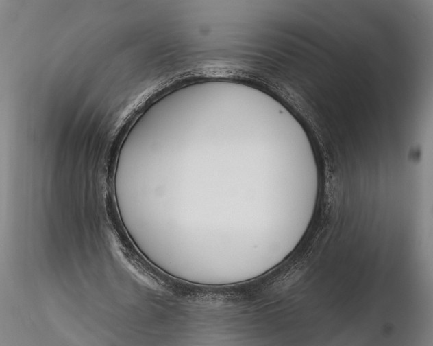 X0000115660530200912031335