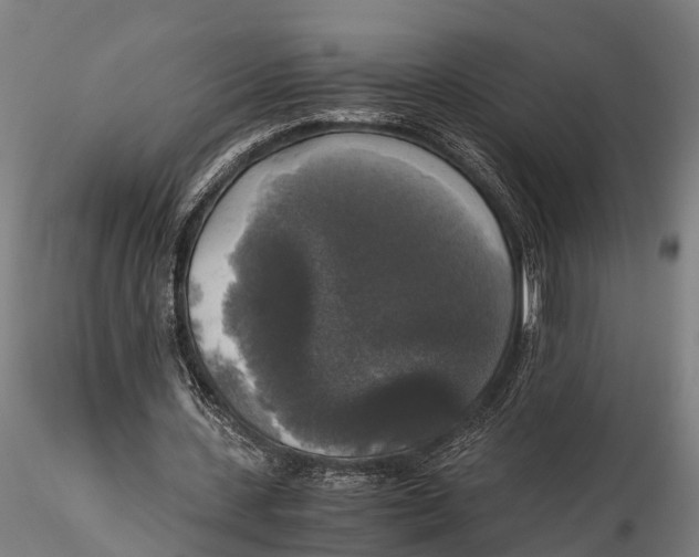 X0000115660531200912031335