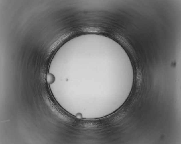 X0000115660533200912031335