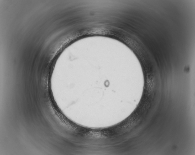 X0000115660534200912031335