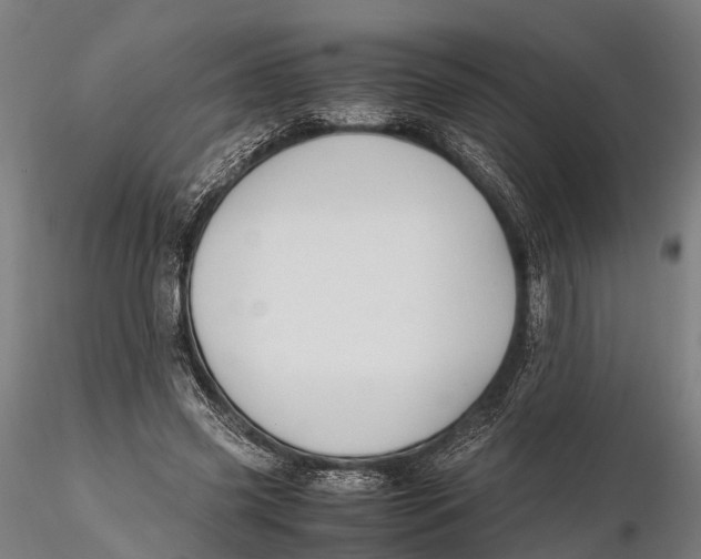 X0000115660541200912031335